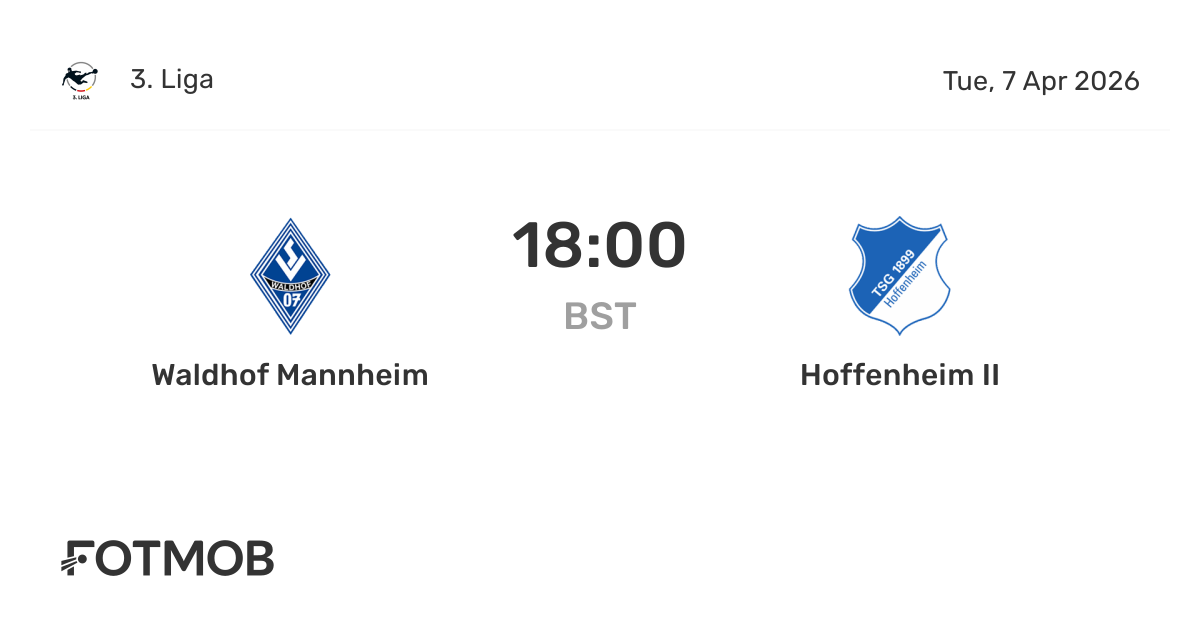 Carte D'équipe Waldhof Mannheim 2002-03 – Originale, Sans Signature, état Correct